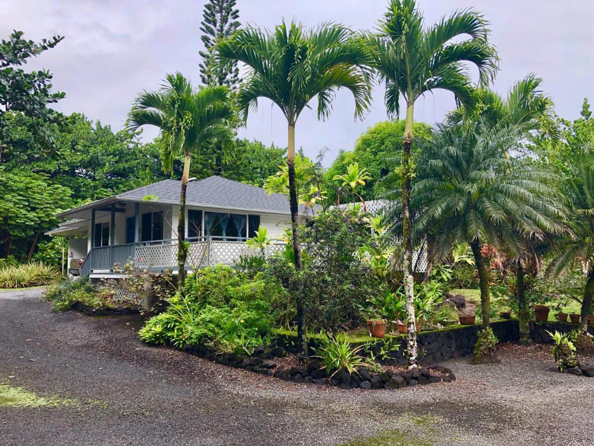 Ala Kai Bed And Breakfast Кио Экстерьер фото
